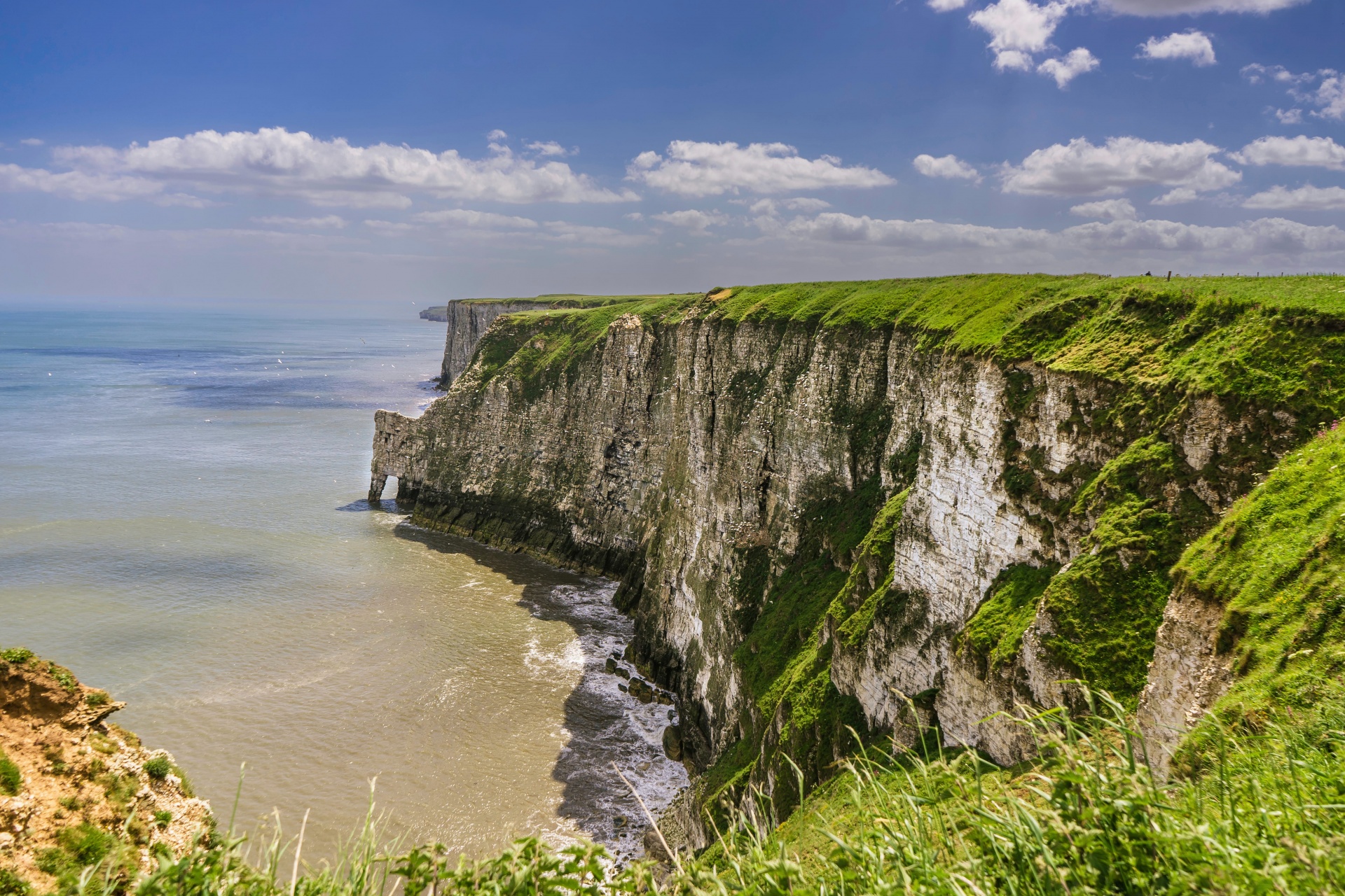 Bempton Cliffs